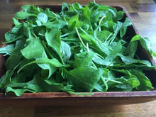 Load image into Gallery viewer, 16 Week Fall/ Winter CSA - Super Greens Share 2025/2026