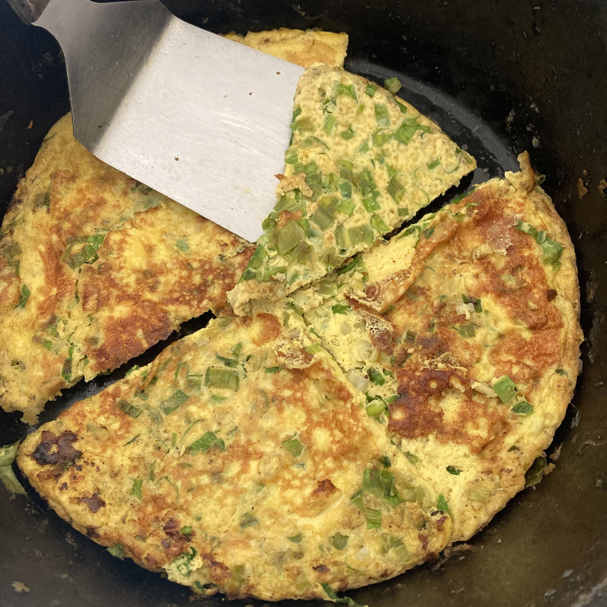 Scallion Frittata – Goodson's Gardens LLC