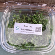 Load image into Gallery viewer, Broccoli Micros
