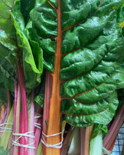 Load image into Gallery viewer, 16 Week Fall/ Winter CSA - Super Greens Share 2024/2025
