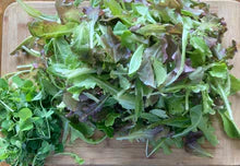 Load image into Gallery viewer, 16 Week Fall/ Winter CSA - Salad Greens Share 2024/2025
